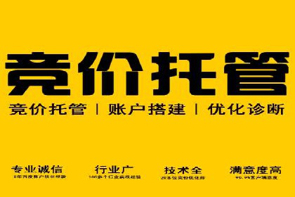 网络推广竞价实战：某电商平台的成功案例